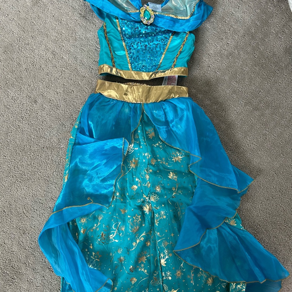 Disney princess  jasmine dress up/costume